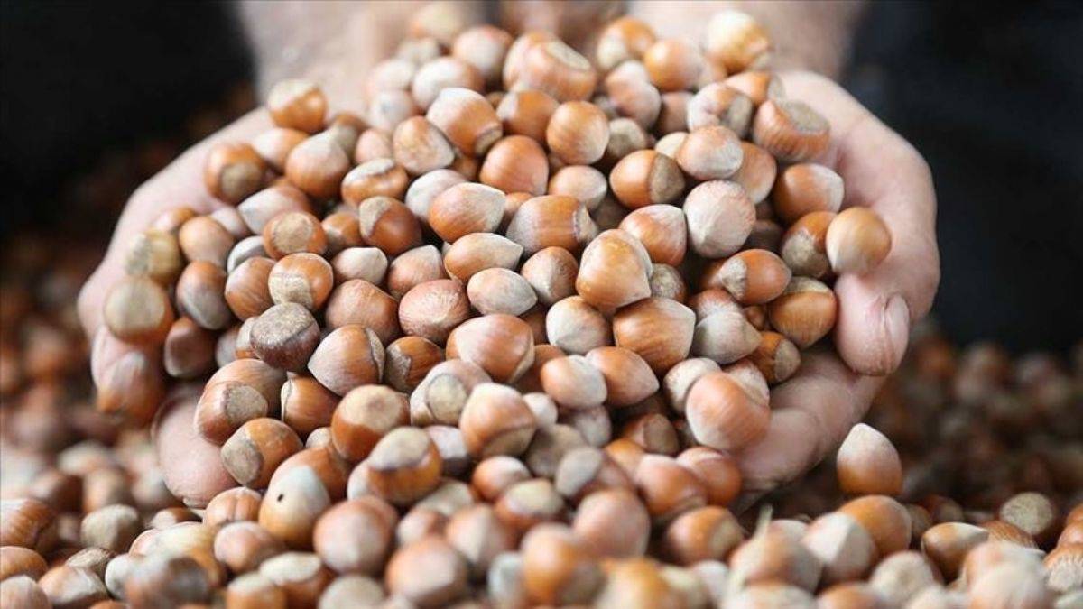 Eylül ayı ihracat geliri 203 milyon dolar oldu