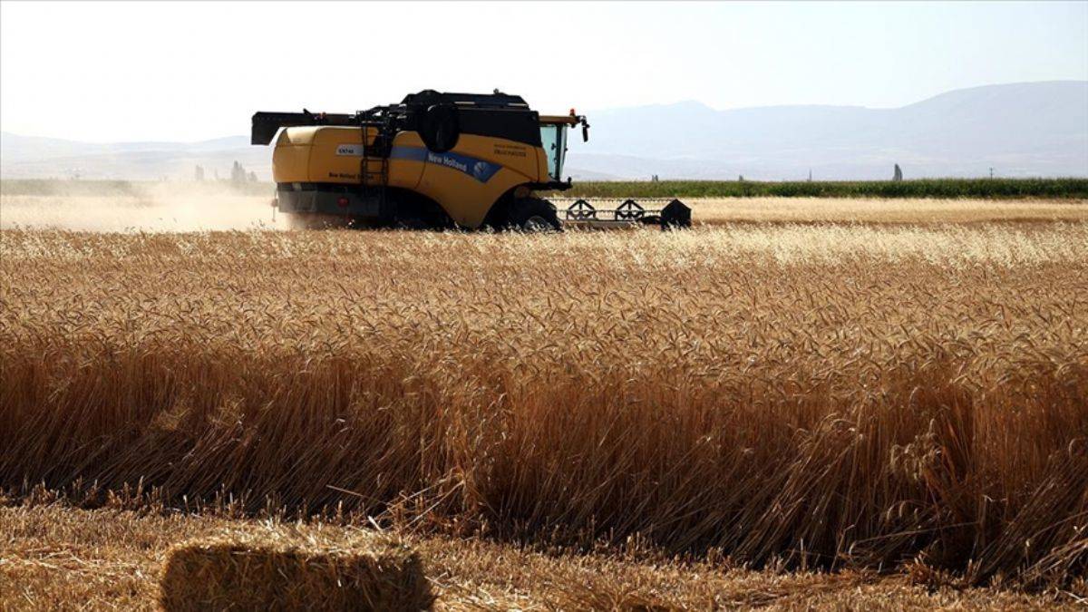 Türkiye 310 bin tonluk arpa ithalatına hazırlanıyor