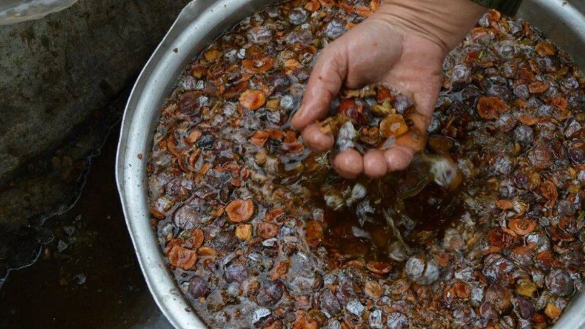 Tam bir şifa deposu! Gece bir kaşık içtiğinizde...