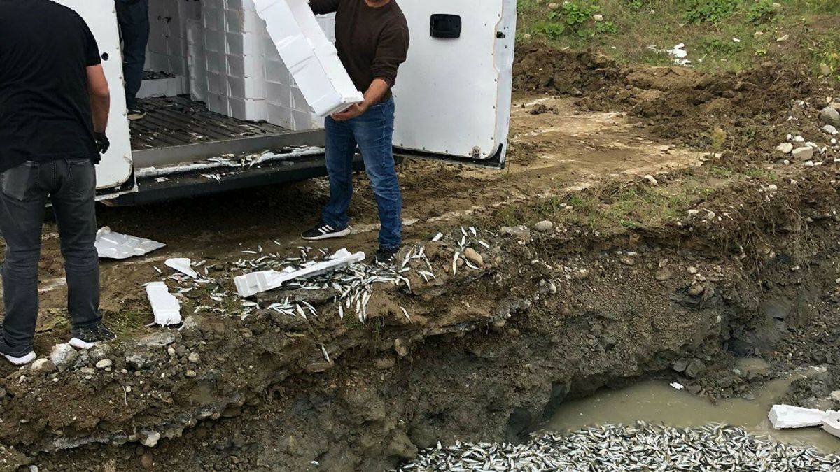 Ekipler tespit etti: 5 ton balık imha edildi