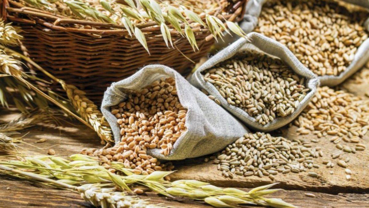 900 bin ton hububat satışa açıldı: Öncelik üreticiler ve yetiştiricilerin