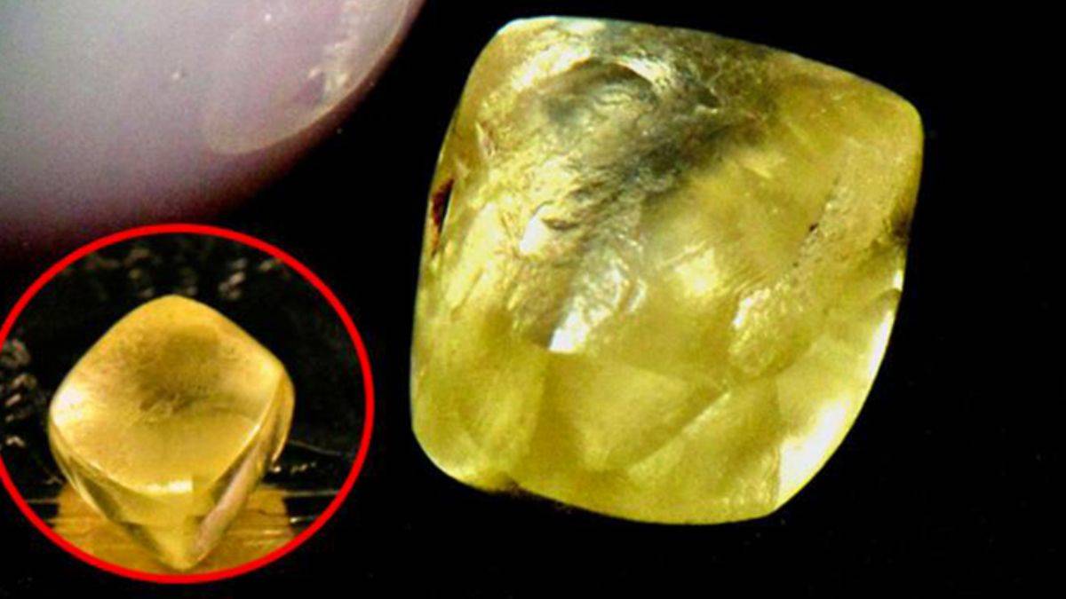 Parkta elmas buldular! Paha biçilemiyor