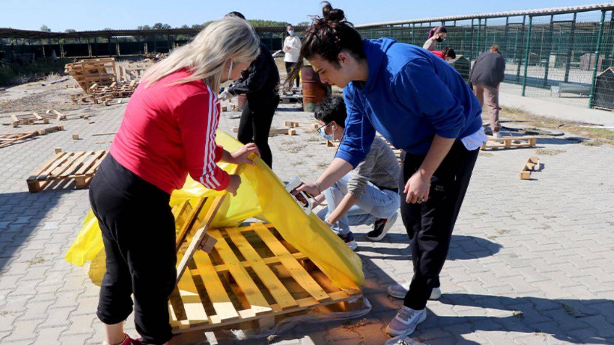 Liseli gençlerden sokak hayvanlarına kışlık kulübe