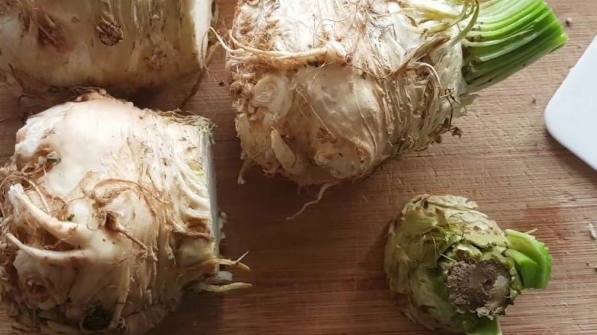 Saksıda kereviz yetiştirmeyi denediniz mi?