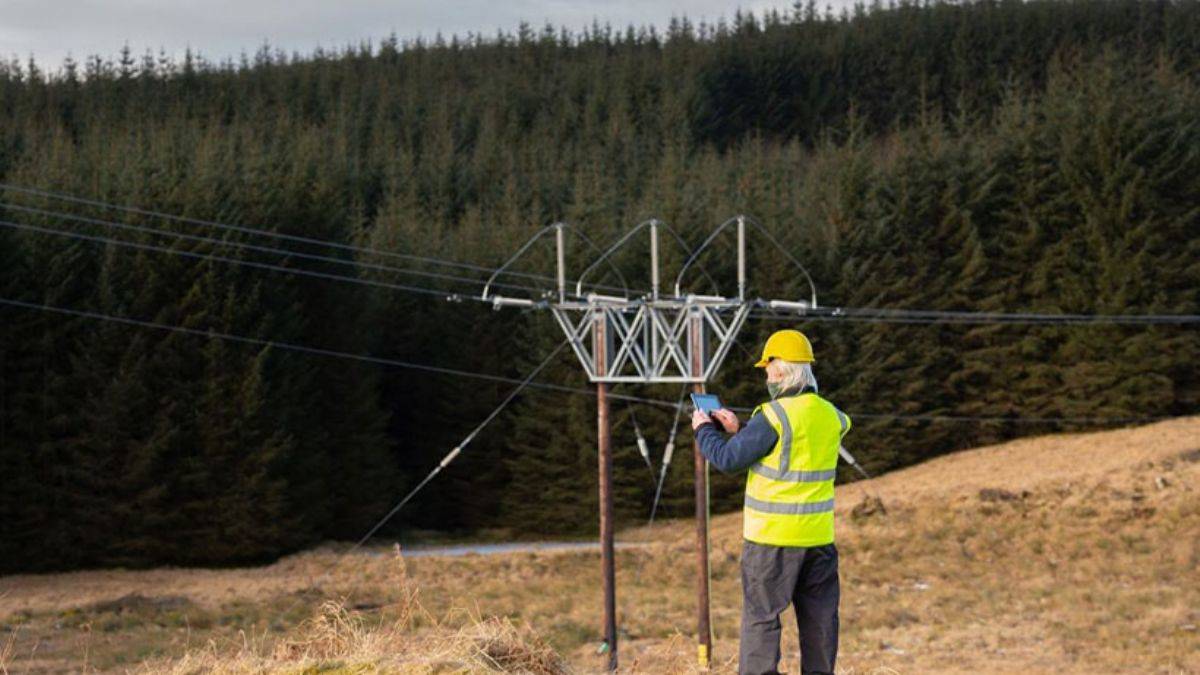 Üniversite eğitimi gerektirmeyen geleceğin en önemli 10 işi