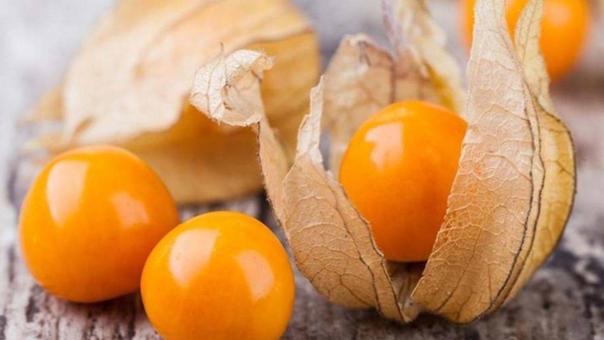 Altın çilek katarakttan koruyor