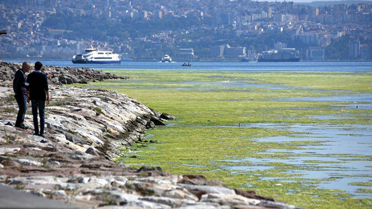 İzmir'de korkutan görüntü! Deniz yeşile büründü