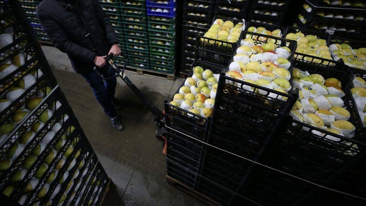 Bakanlıktan sebze/meyve zayiatına karşı soğuk zincir desteği