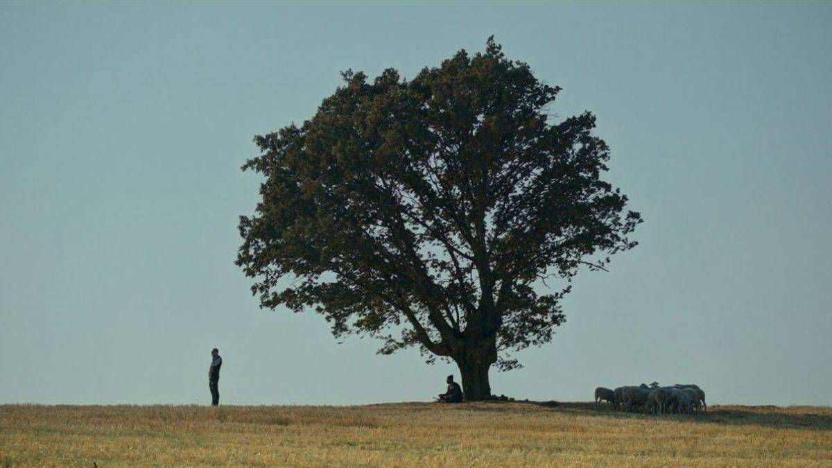 Yönetmen Kaplanoğlu’ndan 'Bağlılık Hasan' filmi söyleşisi