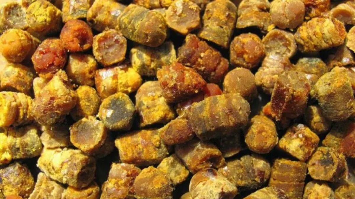 Arı ekmeğini biliyor musunuz?