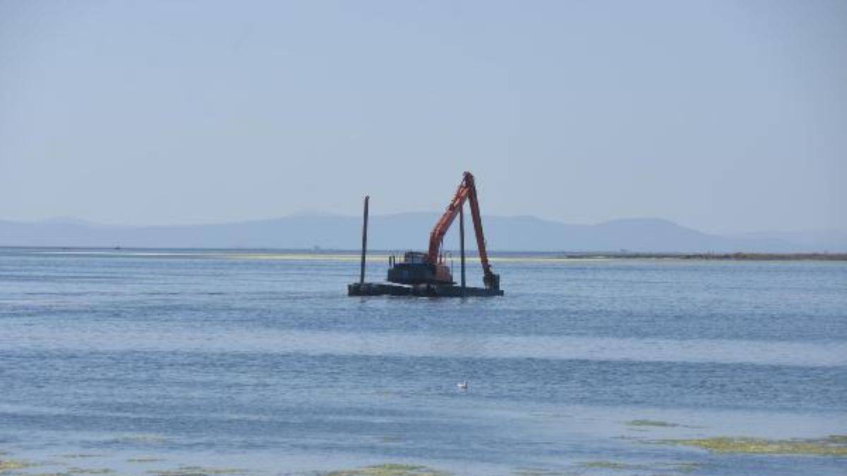 İzmir'de deniz yeşile büründü