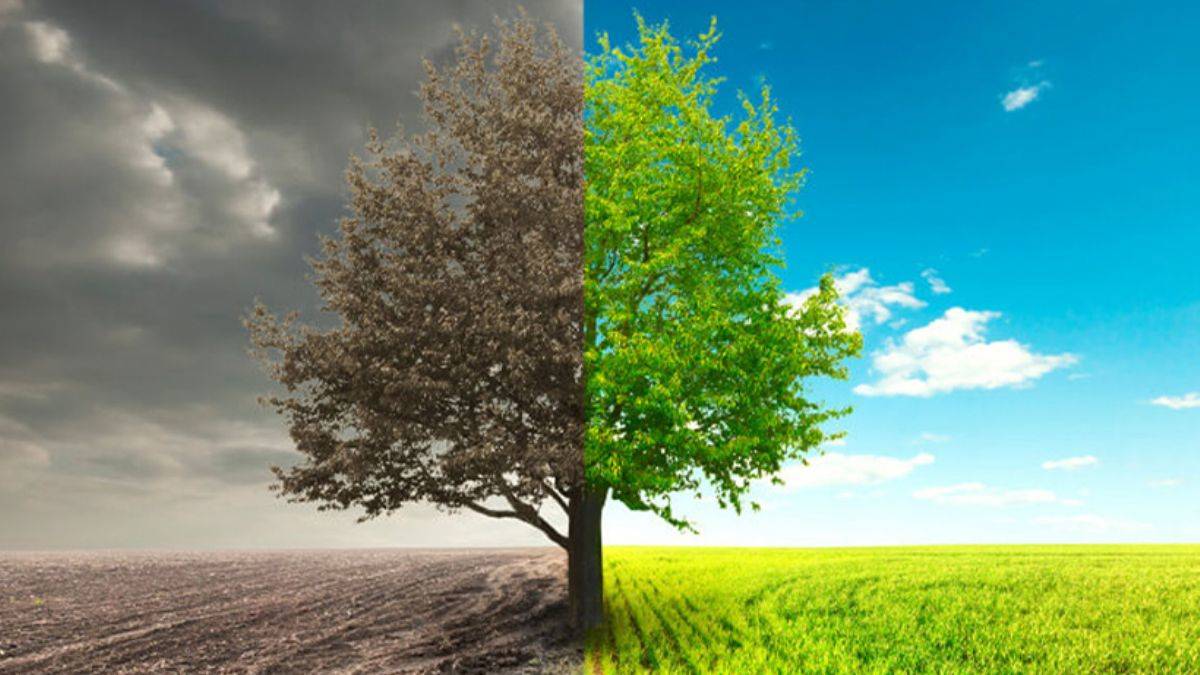 Türkiye'nin onayladığı 'Paris İklim Anlaşması' nedir ve neden bu kadar önemli?