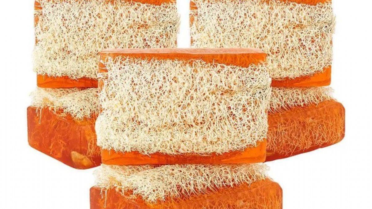 Kabak lifi ne işe yarıyor?