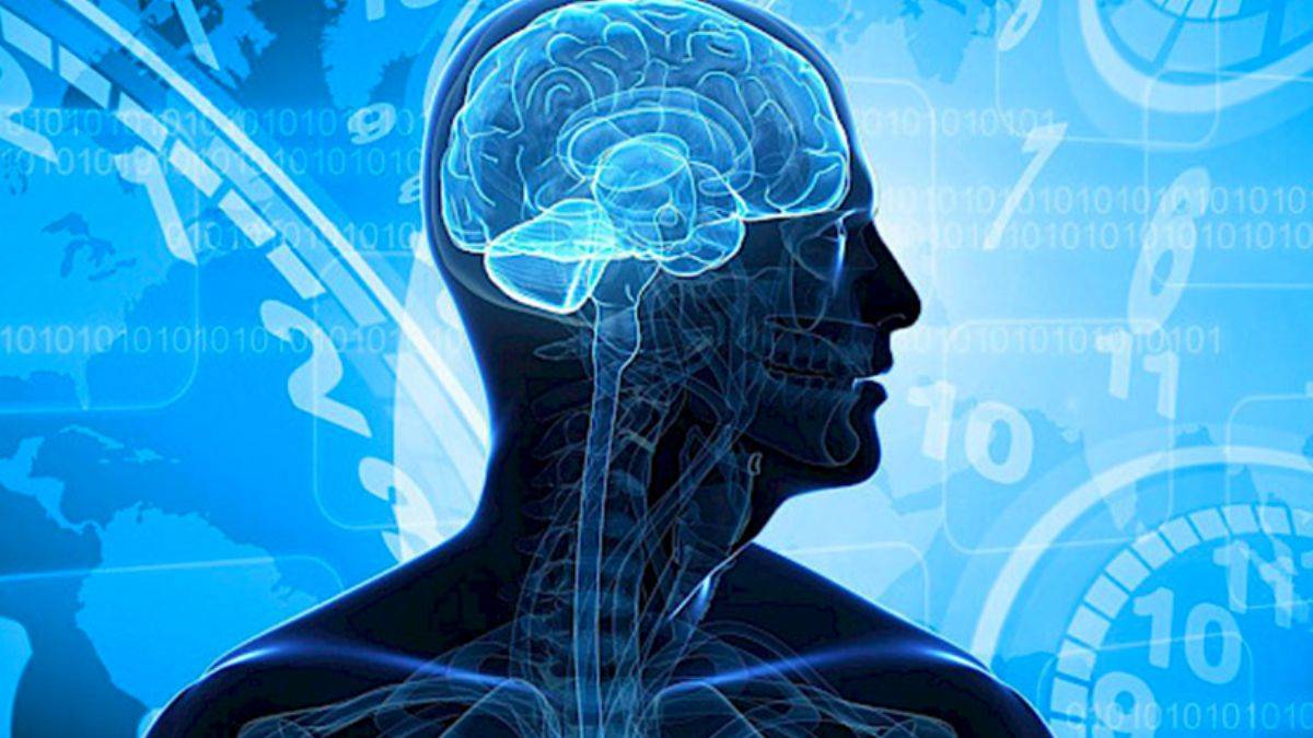 Vücudun biyolojik saatleri