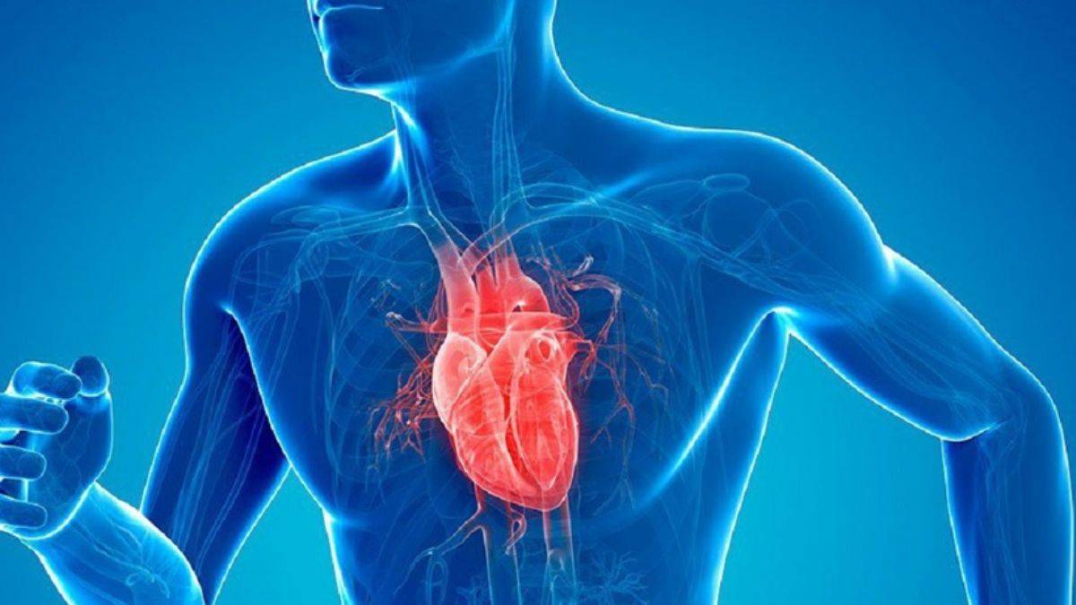 'Ölüm Hesaplayıcı': Ne zaman öleceğinizi tahmin eden uygulama geliştirildi