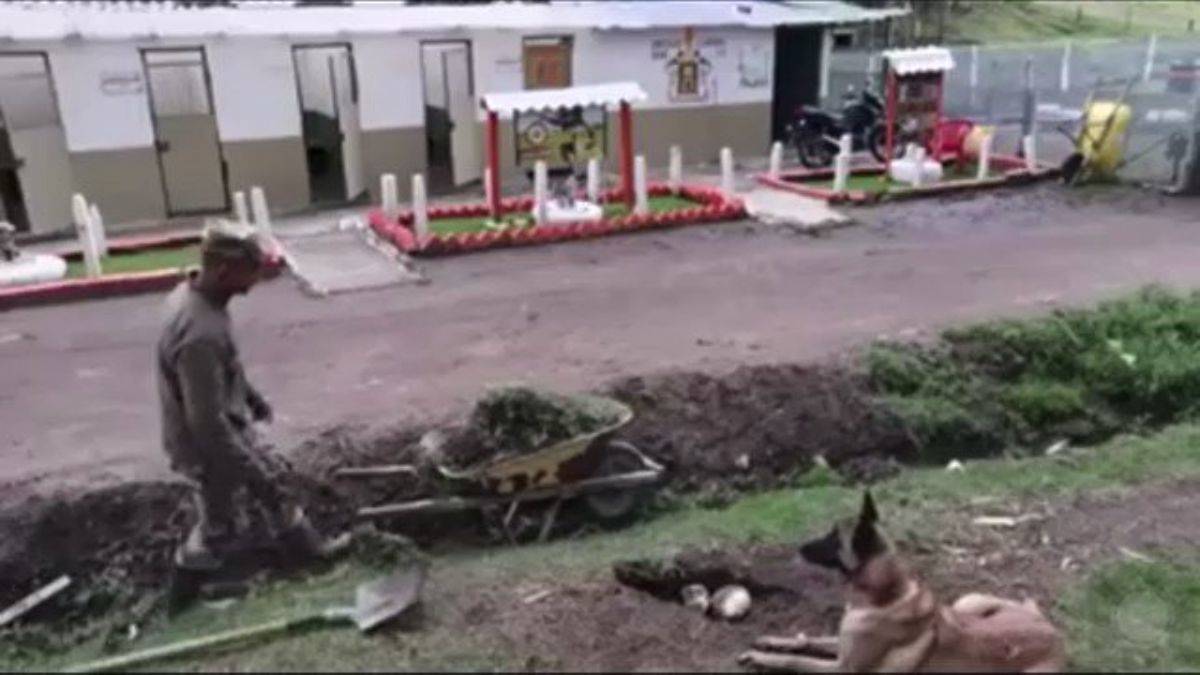 Köpekten inanılmaz yardım