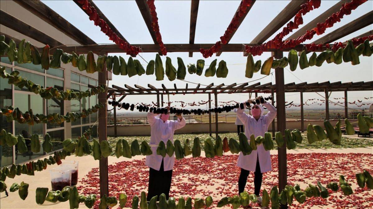 Şanlıurfalı kadınlar, tescili ürünlerle Avrupa'ya açılacak