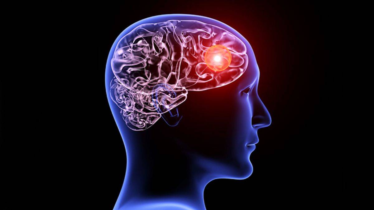 Beyin hücresinin fark edilmeyen bir işlevi bulundu: Alzheimer’a umut olabilir