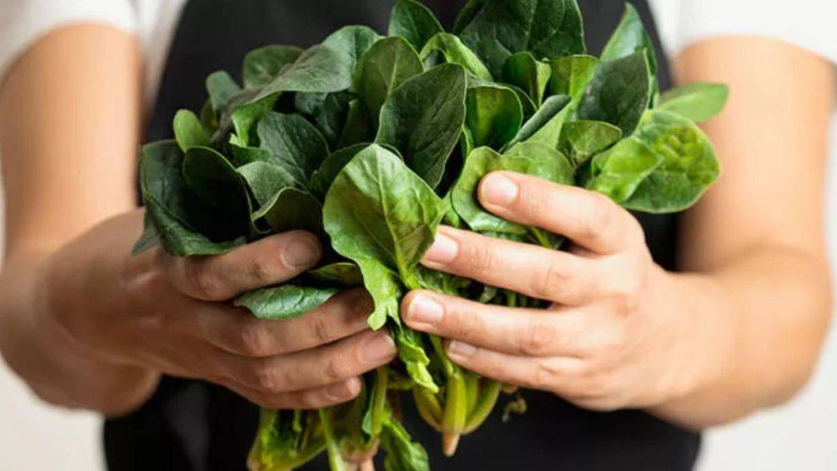 Ispanak zehirler mi? Ispanak zehirlemesi neden olur?