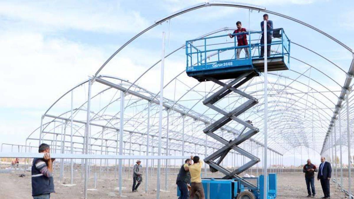 Eksi 35'leri gören Erzurum'da, jeotermal kaynaklarla domates üretilecek