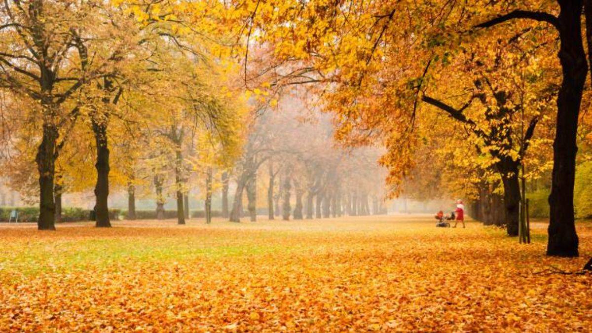 Sonbaharın tadını çıkarabileceğiniz en güzel 8 rota!