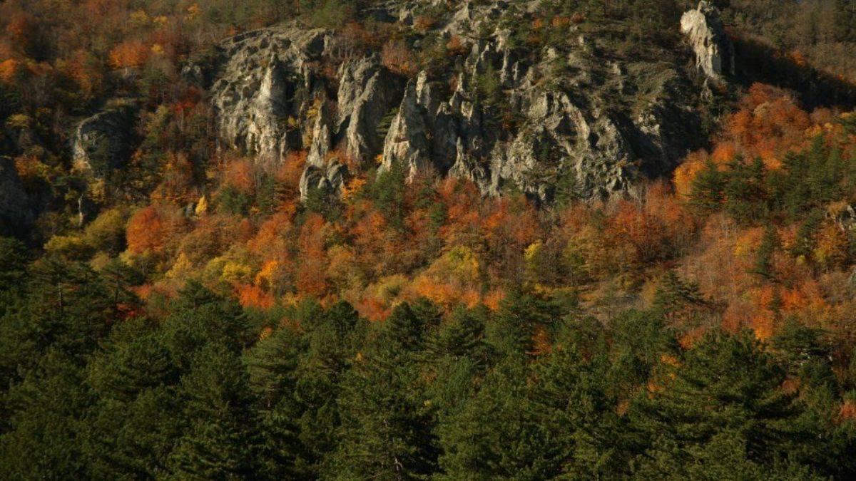 Küre Dağları Milli Parkı'nda sonbahar