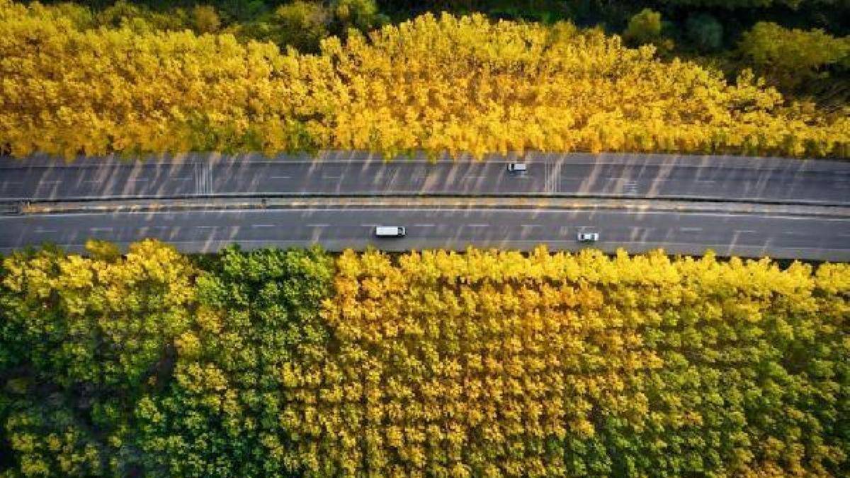 Tokat'ta sonbahar güzelliği