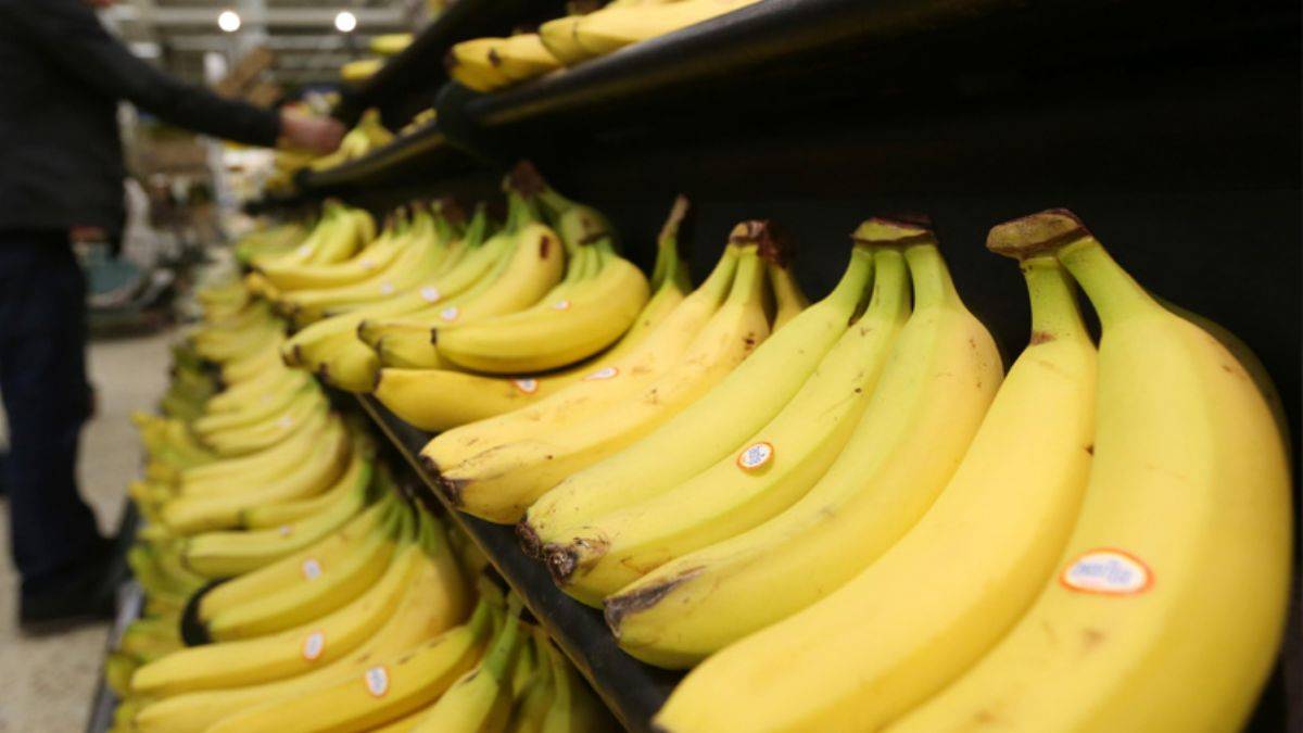 Muz, dalında 6 lira rafta 15 lira