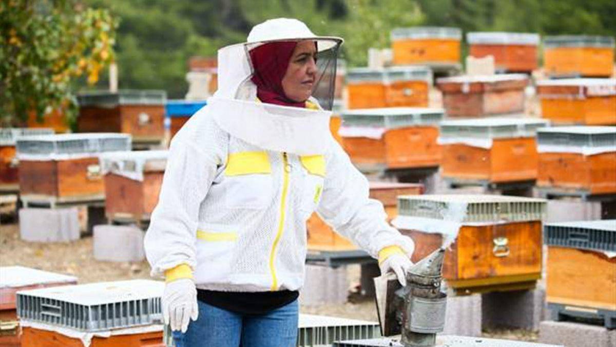 Memurluğu bırakıp arıcılığa başladı: 2 kovanla başlayıp 450 kovana ulaştı