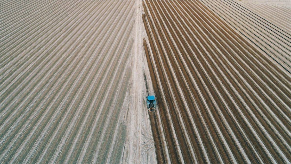 Azerbaycan, işgalden kurtarılan bölgeleri tarıma açtı
