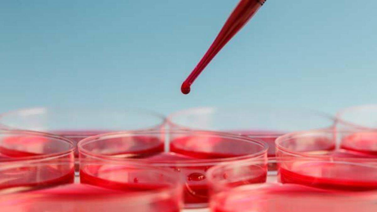 Kansızlığın 5 önemli nedeni ve vücuttaki 5 kritik belirtisi!