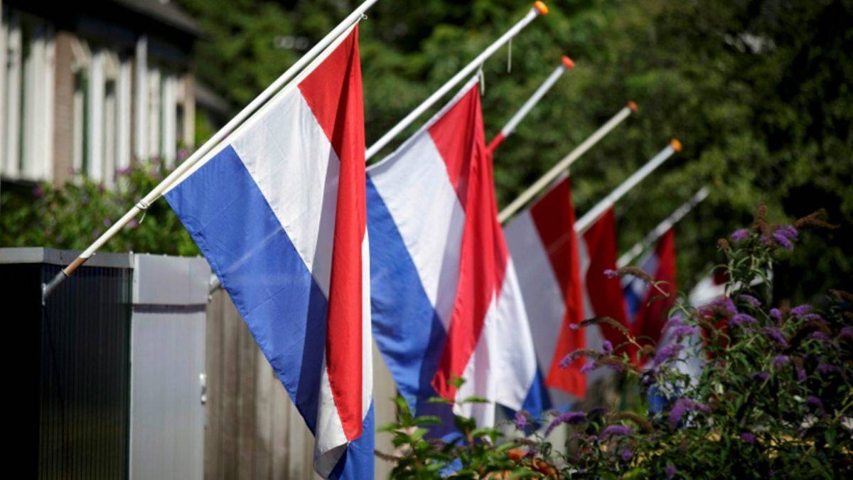 Hollanda'da binden fazla çocuk, 'yanlışlıkla' ailelerinden koparıldı