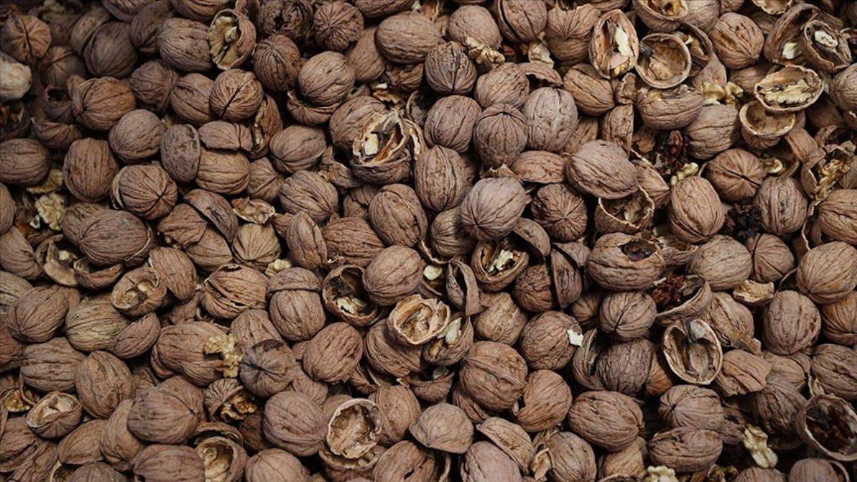 Çin cevizine ihtiyacımız yok