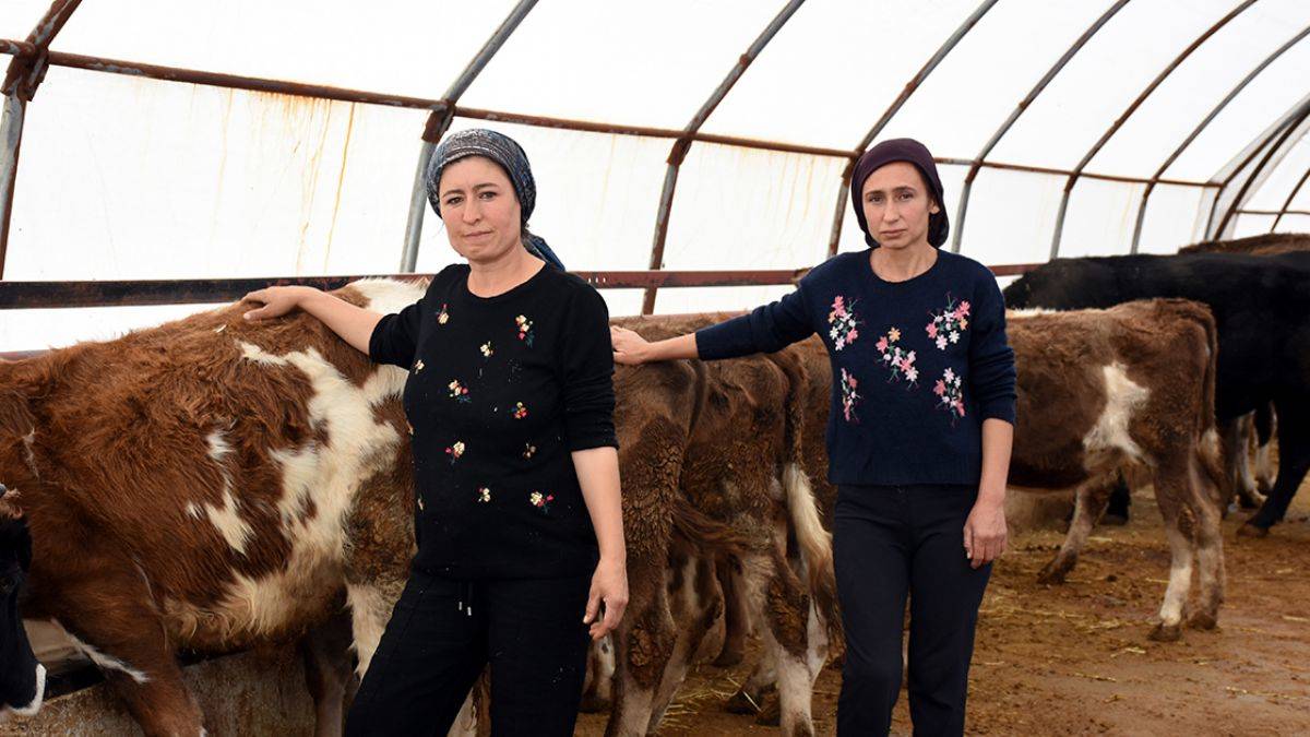 Devletten destek alan kız kardeşler baba mesleğine döndü