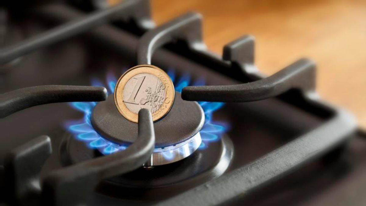 AB’de kara kış: Nükleer ve doğal gaz sıkıntısı