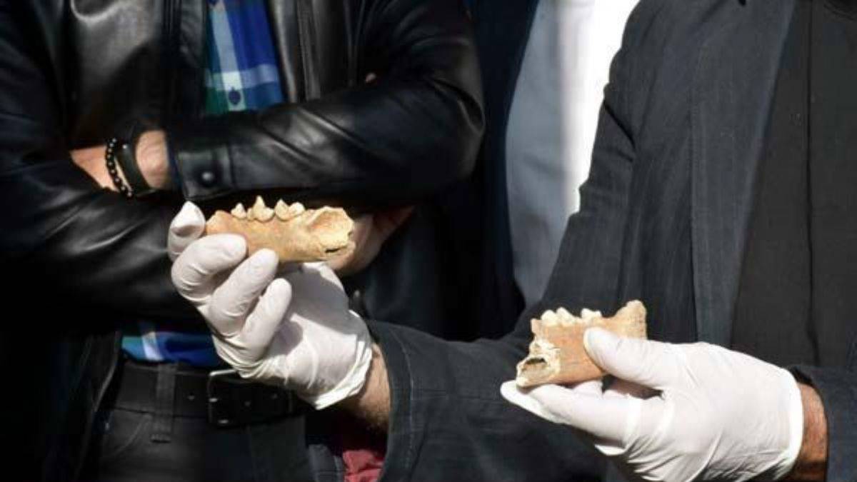 Antik yerleşimde tarihi buluş! 5 bin yıl önce İzmir'de yaşamış...