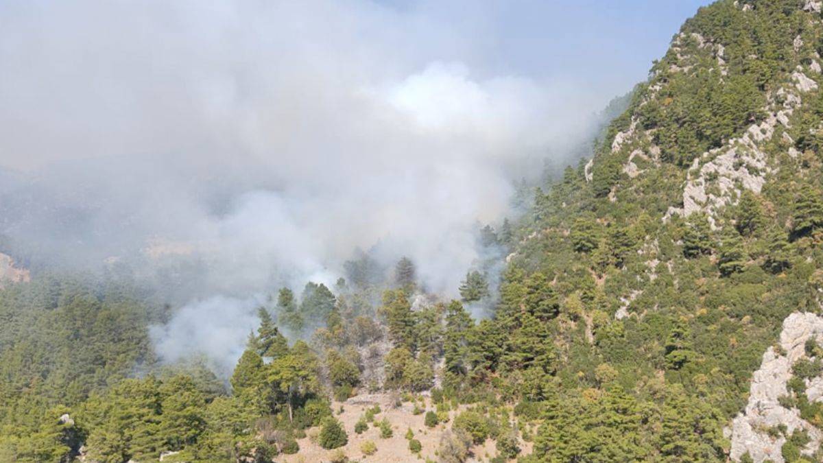 Antalya'da orman yangını! Müdahale sürüyor