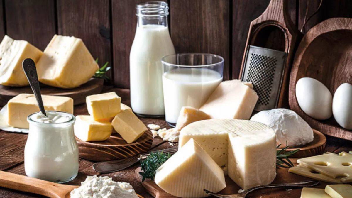 Çin pazarındaki Türk firma sayısı 56 oldu