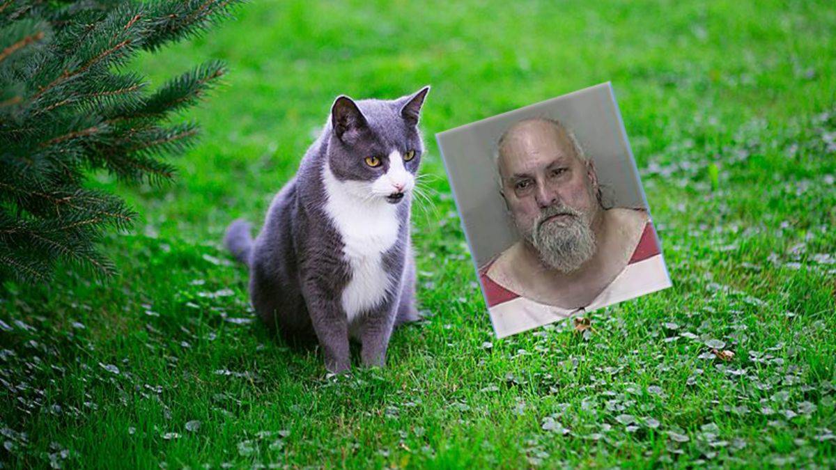 Kedisi bahçesine girdi diye komşusunu öldürdü