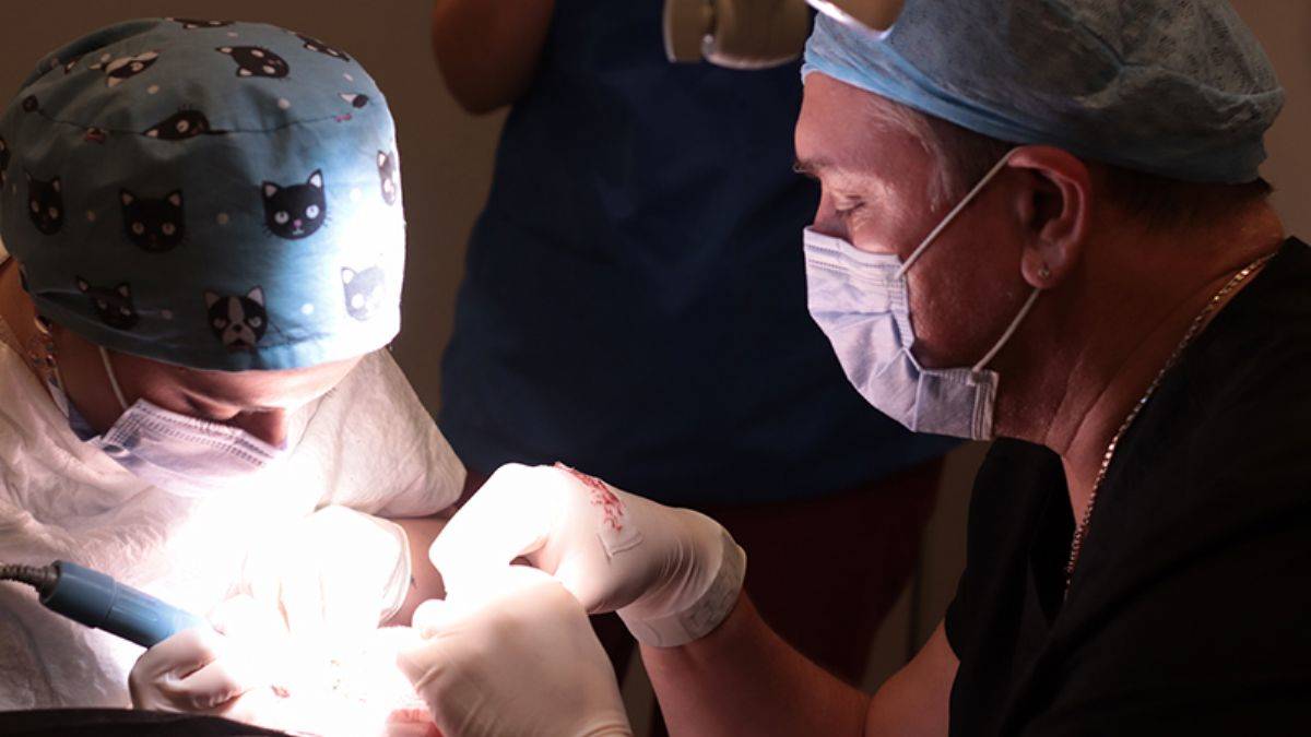 Saç Ekimi 2022 Trendleri ve Fiyatları Nasıl? Dr. Murat Konakçı Anlatıyor!