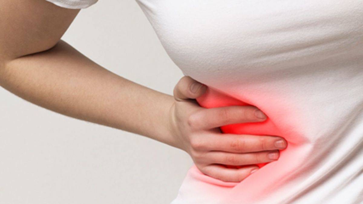 Apendiks organı vücutta ne işe yarıyor?