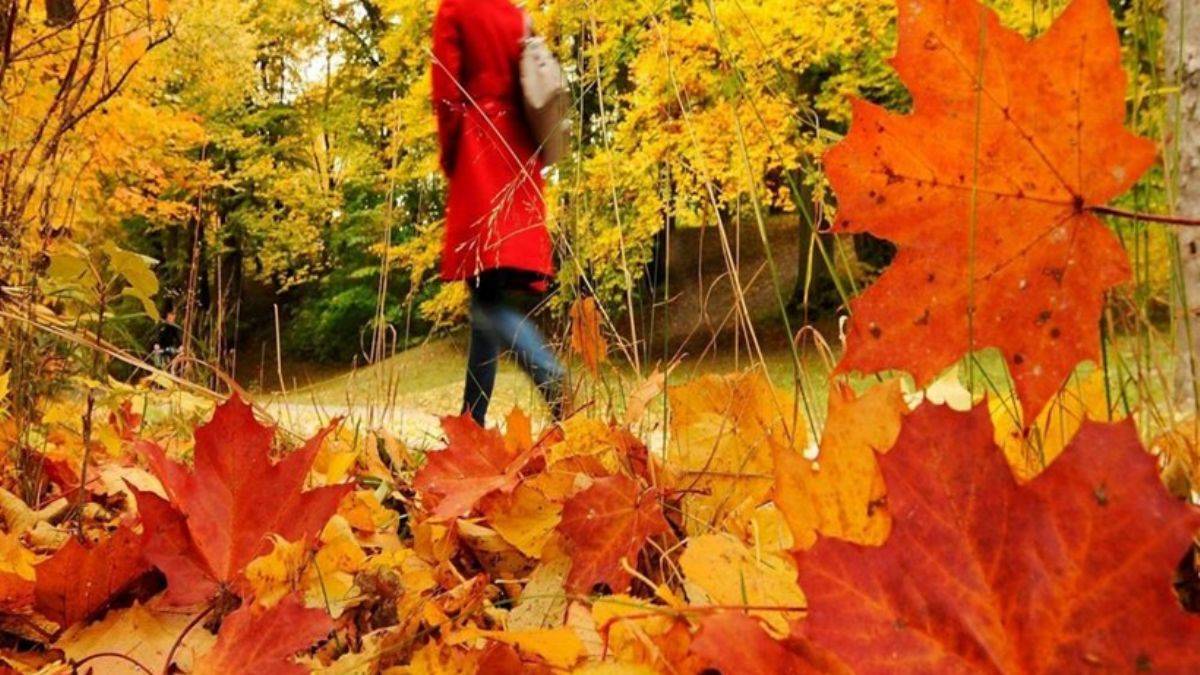 Şairlerin mısralarında sonbahar