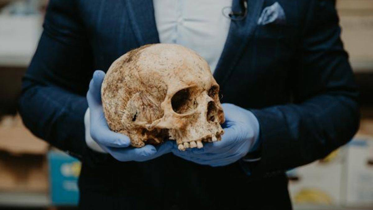 500 bin yıllık yeni bir insan türü keşfedildi: Homo bodoensis
