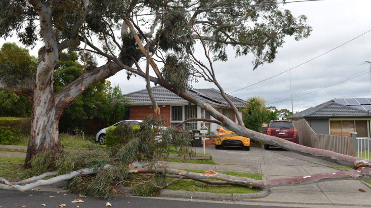 Avustralya karanlığa gömüldü! Binlerce ev elektriksiz kaldı