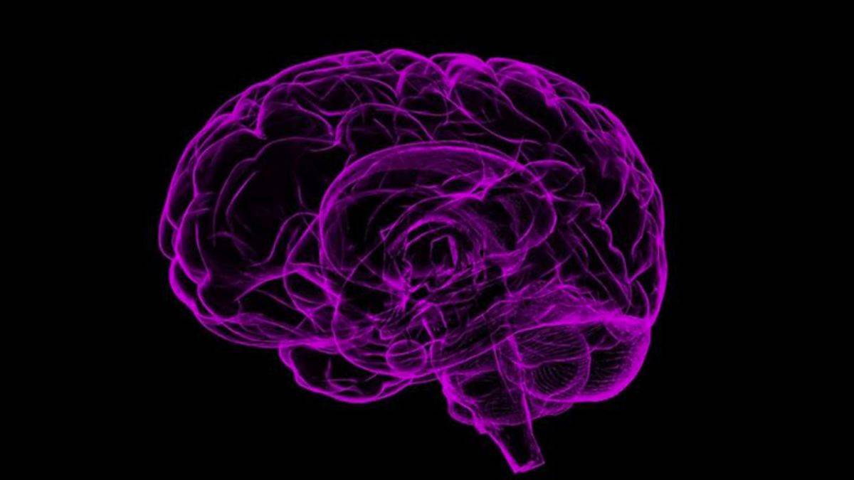 İklim değişikliği beyin damar hastalıklarını da artırıyor