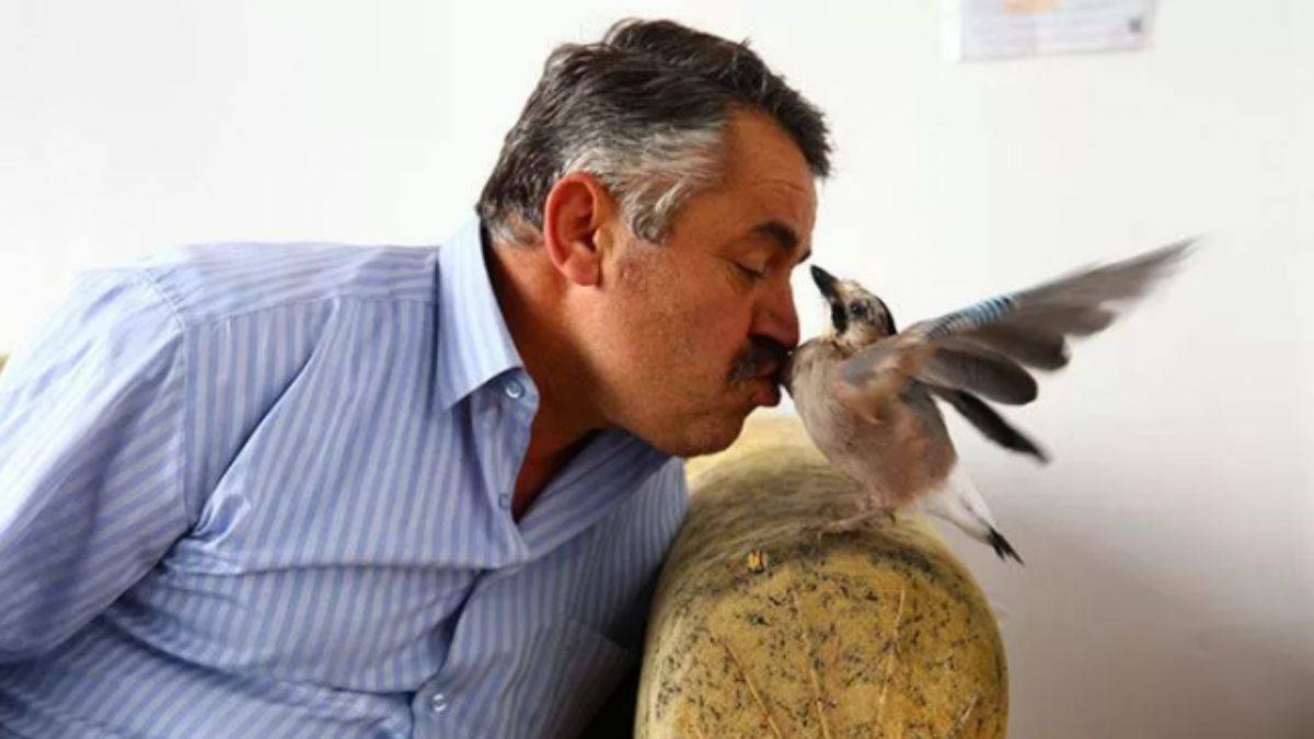 'Besle kargayı oysun gözünü... alakası yok'