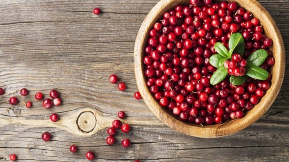 Kekreyemiş tozu iştahı bıçak gibi kesiyor!