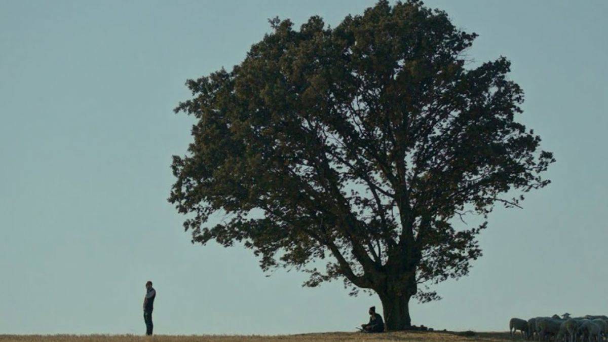 Türkiye'nin Oscar adayı belli oldu