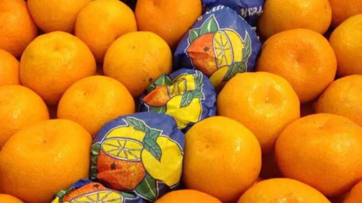 Rus seyahat portalı, Rusya’nın Türkiye’deki bir üreticiden mandalina alımını neden durdurduğunu açıkladı