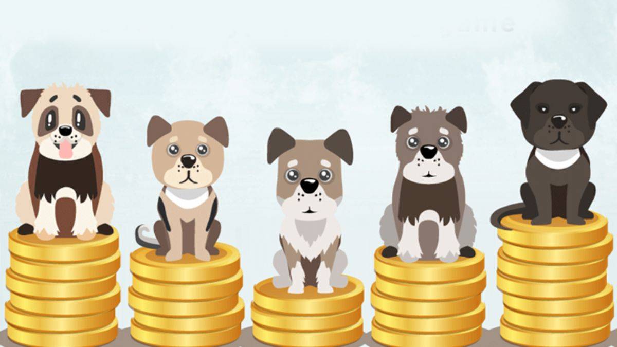 Köpek ırkı coin'lerdeki tehlike
